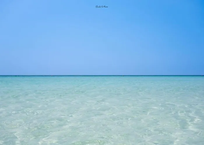 Elysium Luxe Bed & Breakfast